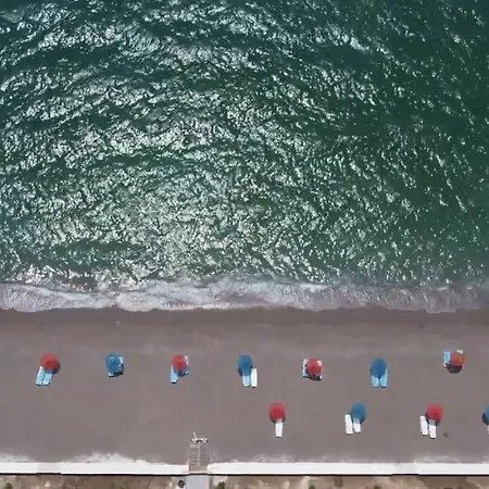 Bluey Calis House * フェティエ